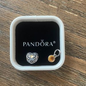 Pandora November Bracelet Charms